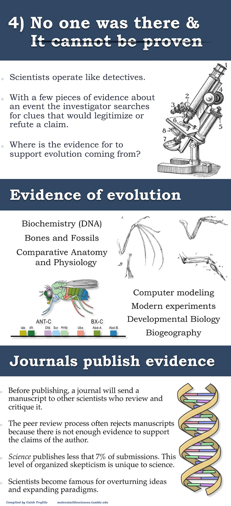 Illustration for article titled Top five misconceptions about evolution according to science